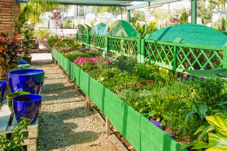 Flower beds full of color next to decorative garden pots.の写真素材