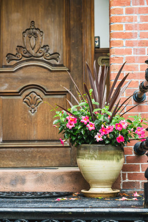 Ornate ceramic pot with vibrant pink flowers placed in front of a carved wooden door.
