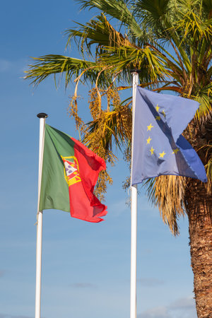 Flags of Portugal and the European Union flutter side by side in front of a palm tree against a blue sky.の写真素材