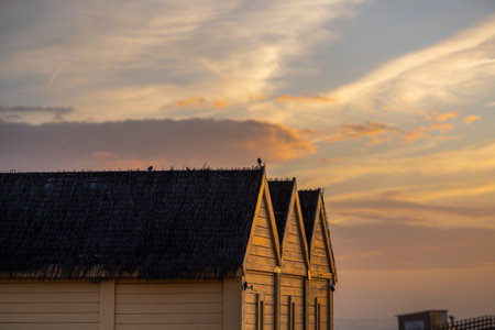 Small wooden cabins with dark thatched roofs illuminated by soft sunset lightの写真素材