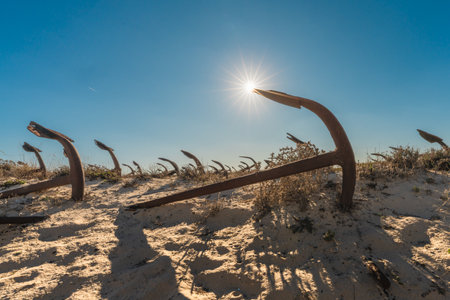 Bright sunlight shines over the historic anchor field, illuminating rusted iron forms buried in beach sand.の写真素材
