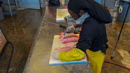 Washington D.C., USA, May 25, 2025. A fish market employee uses a hose to rinse freshly filleted red snapper on a cutting board in Washington D.C.のeditorial素材