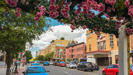 Washington D.C., USA, May 24, 2025. Pink blossoms hang above the sidewalk as vehicles move along U Street near the Lincoln Theatre.のeditorial素材