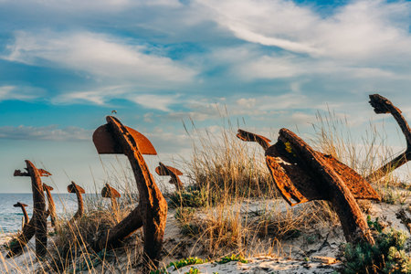 Weathered ship anchors rising from sandy coastal dunes covered with dry grass.