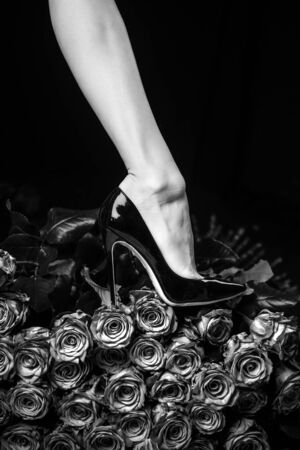 Female legs concept. Black shoes and black roses. Beautiful body of woman against petals of black roses with flower. Beauty fashion background.の写真素材