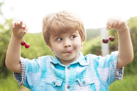 Funny face. Baby child with cherries in two hands. Fun math. Equations. Summer holidays. Happy time. Garden with fruit. Harvest. Tasty Cherry. Two.の写真素材