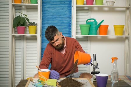 Working with soil. Bearded man grows plants at home.の写真素材