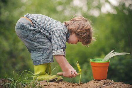 Gardener. Organic farm. A child plays a farmer. A boy on the field grows vegetables. Bio foodの写真素材