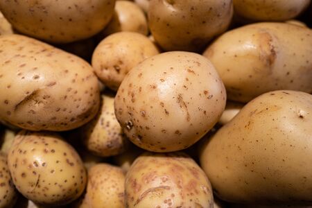 Potatoes. Background with Yellow vegetables. Natural food. Organic food Potatoの写真素材