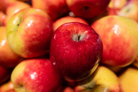 The apples are red and yellow. Fruits and healthy food.の写真素材