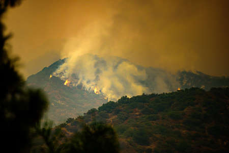 Fire in the mountains of California. Fires near Los Angeles. Smoke pollution in US air. Dangerous fire due to global warming and climate change.の写真素材