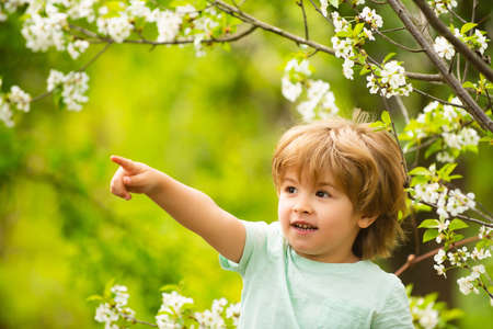 Child in nature. The boy points a finger at something on the tree. Spring park and cute kid. Green background and boy.の写真素材