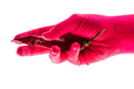 Red hot pepper, chili pepper in red hand. Concept of spices and cooking, colored vegetables and body of woman. Hand holds one red pepper. Cook chef cooks spicy foodの写真素材