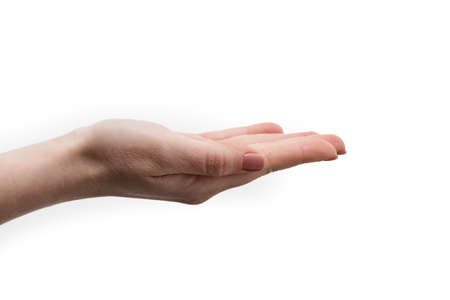 Hands holding something on white background. Woman hand isolated on white background, clipping path.の写真素材