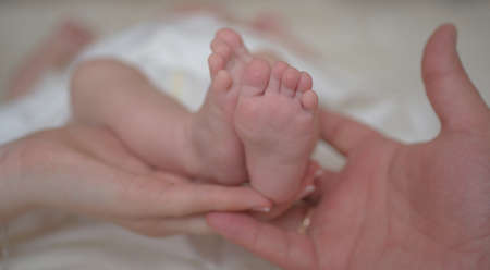 Newborn. Small legs in the hands of father and mother. Love and parenthood. A gentle photo of happy moments. Family concept.の写真素材