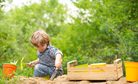 Child in the garden. Organic vegetables.の写真素材