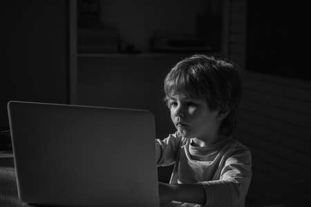 Online education for children. Boy with leptop.の写真素材