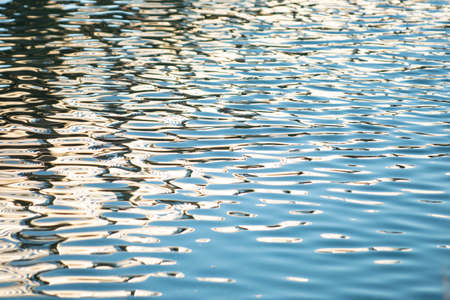 Waves on the water. Beautiful nature. The surface of the lake.