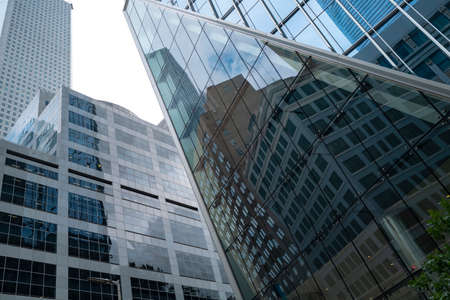 Glass and metal, jungle stones. Skyscrapers. Downtown in big US cities. Windows of offices of large...