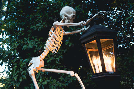 Scenery for Halloween in October. Decoration in the yard. Skeleton with a lantern