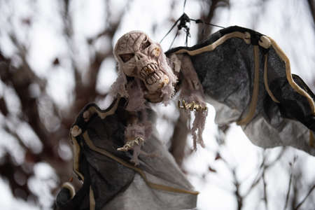 Terrible monster skull. Scenery for Halloween in October. Decoration in the yard.