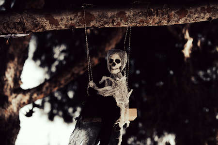 A small monster hangs on a tree. Scenery for Halloween in October. Decoration in the yard.の写真素材