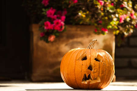 Sad pumpkin jack. Scenery for Halloween in October. Decoration in the yard.の写真素材