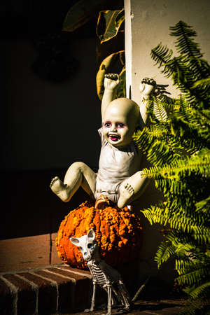 Baby vampire. Scenery for Halloween in October. Decoration in the yard.の写真素材