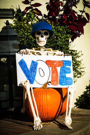 A skeleton on a pumpkin calls for voting in elections. Scenery for Halloween in October. Decoration in the yard.の写真素材