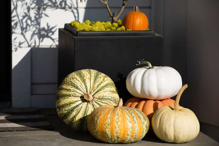 Pumpkins at the front door. Scenery for Halloween in October. Decoration in the yard.の写真素材