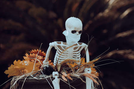 Skeleton in mask, coronavirus pandemic. Scenery for Halloween in October. Decoration in the yard.の写真素材