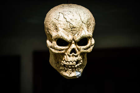 Evil skull. Scenery for Halloween in October. Decoration in the yard.の写真素材