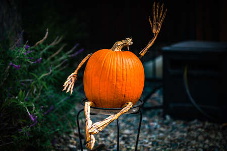Pumpkin character. Scenery for Halloween in October. Decoration in the yard.の写真素材