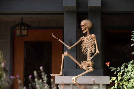 Skeleton philosopher thinker. Scenery for Halloween in October. Decoration in the yard.の写真素材