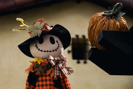 Pumpkin and doll autumn character. Scenery for Halloween in October. Decoration in the yard.の写真素材