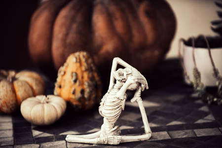 Yoga. Skeleton in a yoga pose. Scenery for Halloween in October. Decoration in the yard.の写真素材