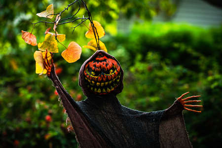 Halloween character on a background of green nature. Scenery for Halloween in October. Decoration in the yard.の写真素材