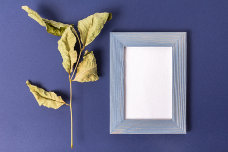 A blue wooden frame.  paper inside the frame with place for text. Blue-purple background made of pastel embossed paper. Dried large leaf to the right of the frame. View from above.の写真素材