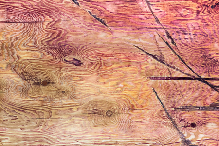 Abstract texture background. Planks contrasting yellow green brown orange acid color.の写真素材