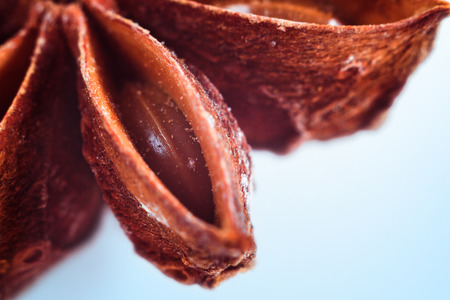 Part of the star anise. Close-up texture. Macro. Brown and blue colors. Saturated and colorful image. Star anise isolated on blue light background. Top view. Very shallow DOF, selective soft focus as a magic food concept.の写真素材