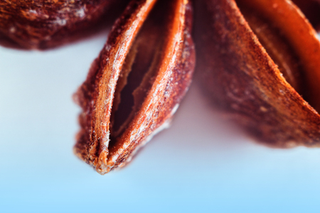 Part of the star anise. Close-up texture. Macro. Brown and blue colors. Saturated and colorful image. Star anise isolated on blue light background. Top view. Very shallow DOF, selective soft focus as a magic food concept.の写真素材