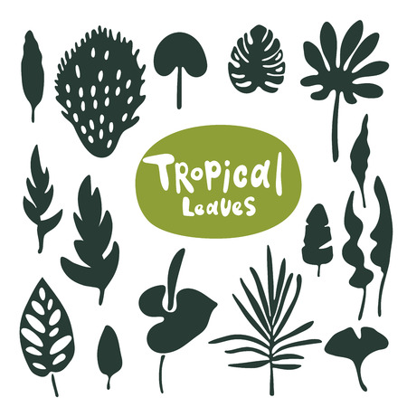 Tropical doodle leaves collection. Set of vector isolated silhouettes on white backgroundのイラスト素材