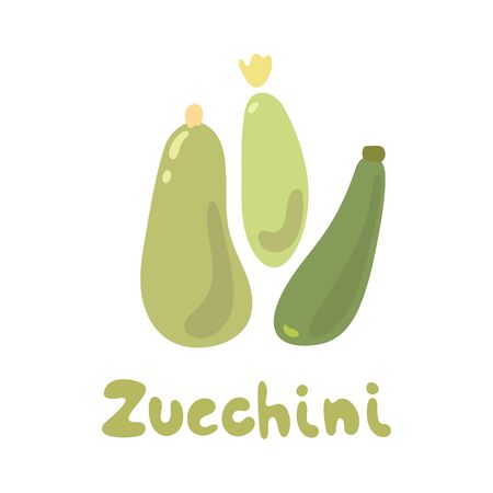 Zucchini Vector Illustration. Simple Illustration of three zucchini isolated on white background, flat design, no gradients.のイラスト素材