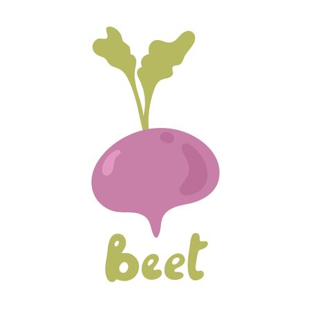 Beetroot vegetable icon template design. Purple beet icon. Fresh vegetarian concept. Health vegetarian cool simple flat design beetroot symbol. Vegetable Ingredient for foodのイラスト素材