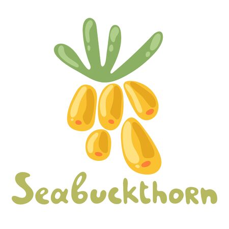 Hand drawn sea buckthorn illustration. Organic food on white background. Cute plant. Flat doodle design.のイラスト素材