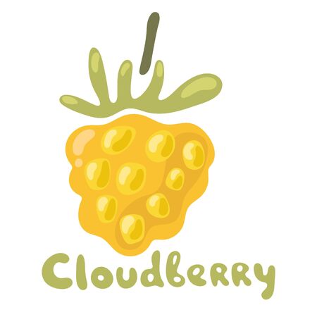 Orange cloudberry berry flat icon with inscription. Single Cloudberry with Leaves. Colorful Icon vector illustration of eco food isolated on white.のイラスト素材