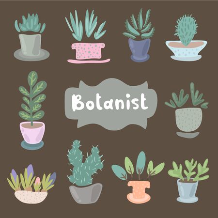 House plants and flowers in pots for interior decoration. Set of adorable miniature plants design elements. Leaf and flowers icon, flowerpot isolated objects. Clip art vector set of flat illustration.のイラスト素材