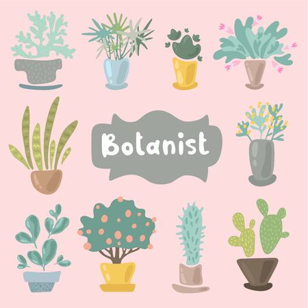 House plants and flowers in pots for interior decoration. Set of adorable miniature plants design elements. Leaf and flowers icon, flowerpot isolated objects. Clip art vector set of flat illustration.のイラスト素材