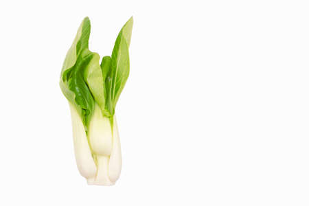 Healthy pak choi on a white background. Brassica rapa. Fresh pak choi - a leafy green Chinese cabbage lying on the left. Stock photo, place for text. Ingredient for cooking, diet and healthy eating.の写真素材