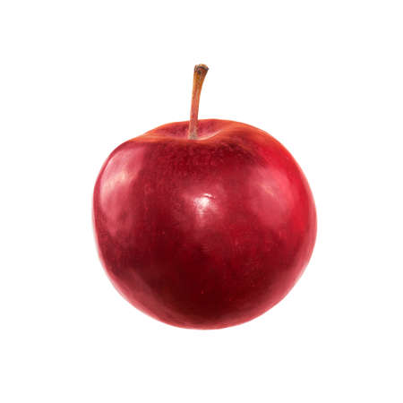 One ripe red apple. Isolated on a white background. Fresh red apple fruit isolated on the white background with clipping path. Stock photo, farm natural product. Fresh raw organic fruit.の写真素材